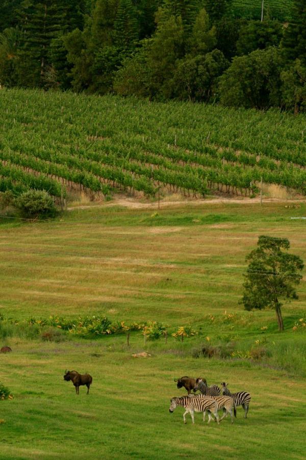 فيلا Wildlife Retreat On A Wine-Farm ستيلينبوش المظهر الخارجي الصورة